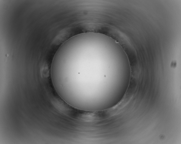 X0000102860086200808251236