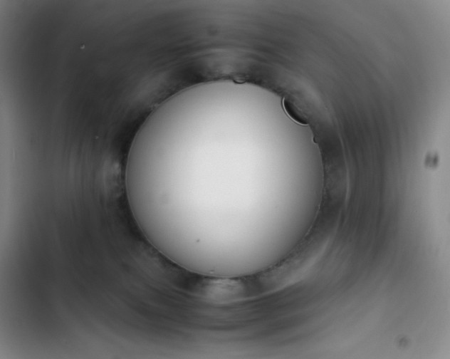 X0000102860087200808251236