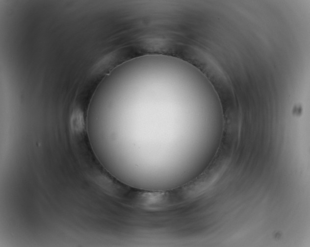 X0000102860089200808251236