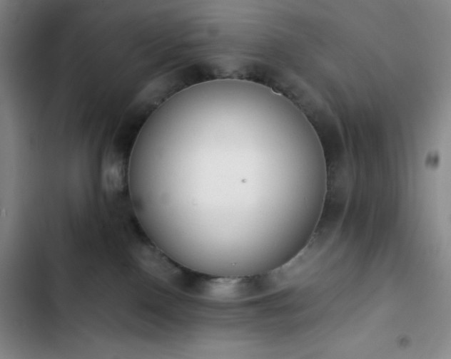 X0000102860090200808251236