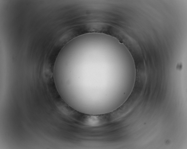 X0000102860091200808251236