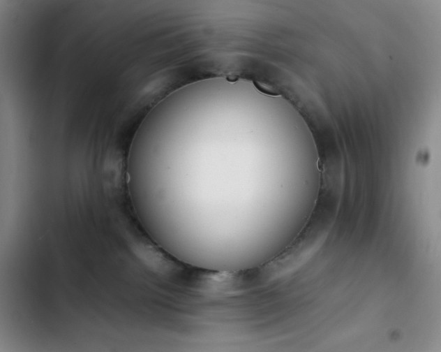 X0000102860092200808251236