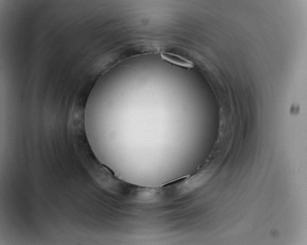 X0000102860096200808251236