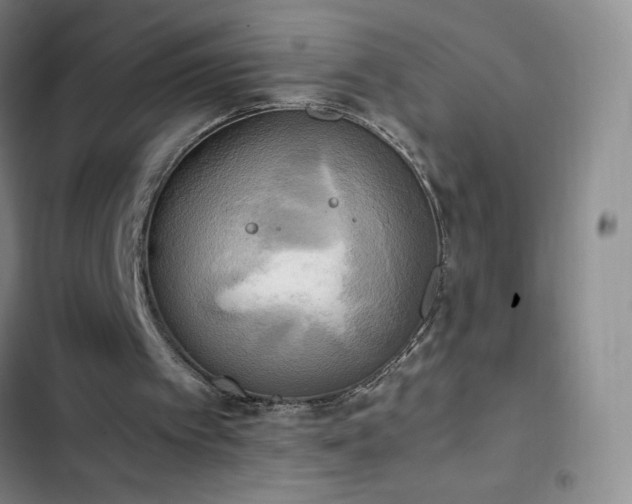 X0000102860097200808251236