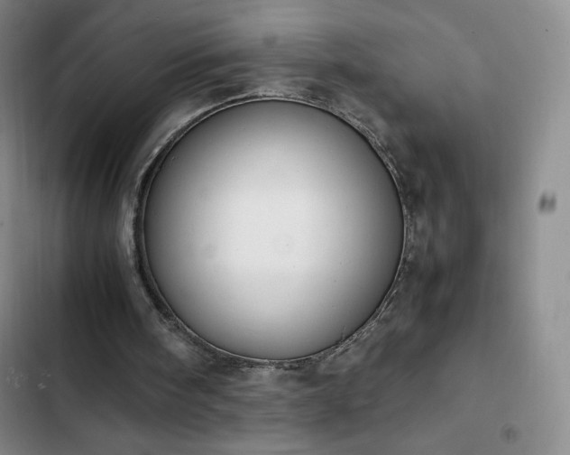 X0000102860098200808251236