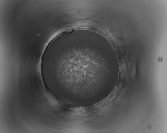 X0000102860100200808251235