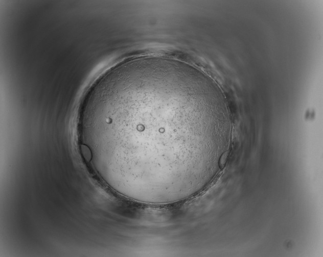 X0000102860101200808251235