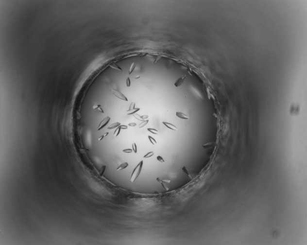 X0000102860102200808251235