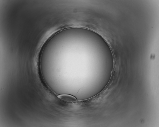 X0000102860103200808251235