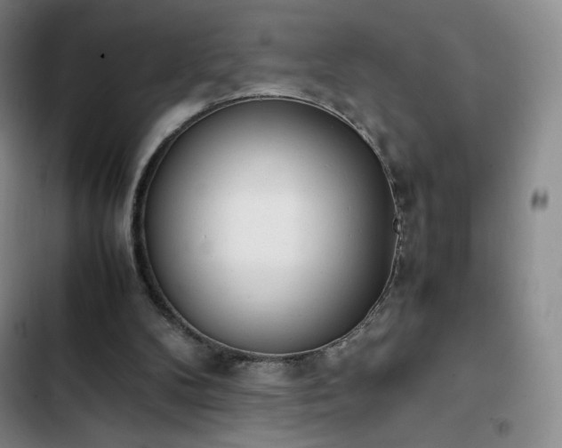 X0000102860104200808251235