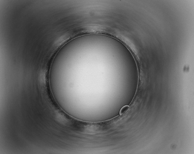 X0000102860105200808251235