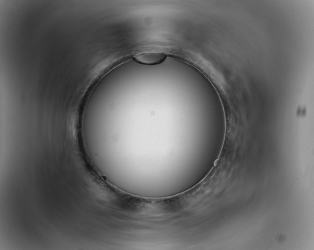 X0000102860107200808251235