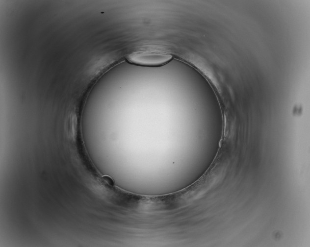 X0000102860109200808251235