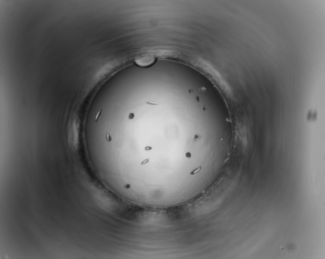 X0000102860110200808251235