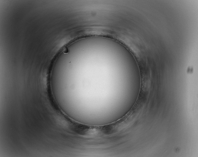 X0000102860111200808251235