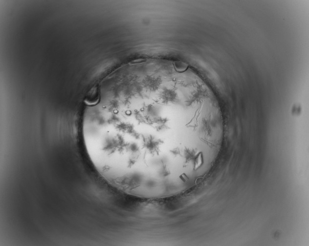 X0000102860115200808251235