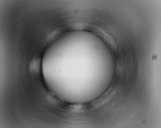 X0000102860118200808251235