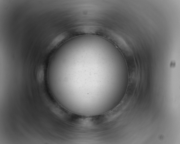 X0000102860120200808251235