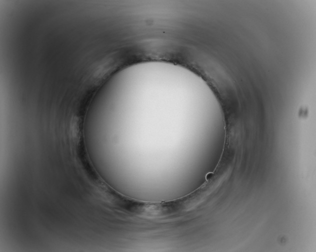 X0000102860121200808251235