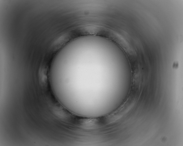 X0000102860122200808251235