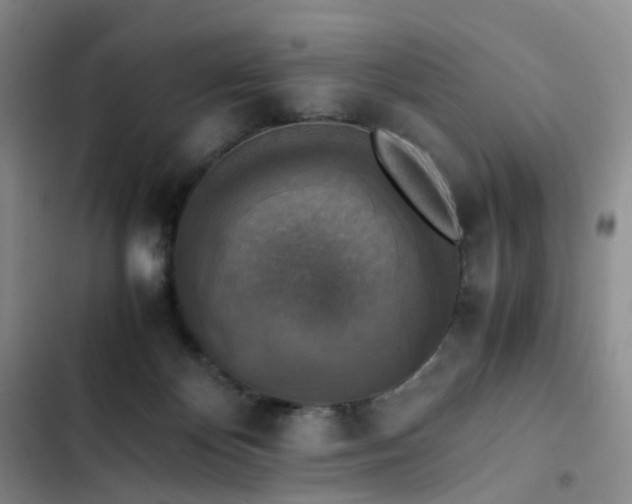 X0000102860124200808251235