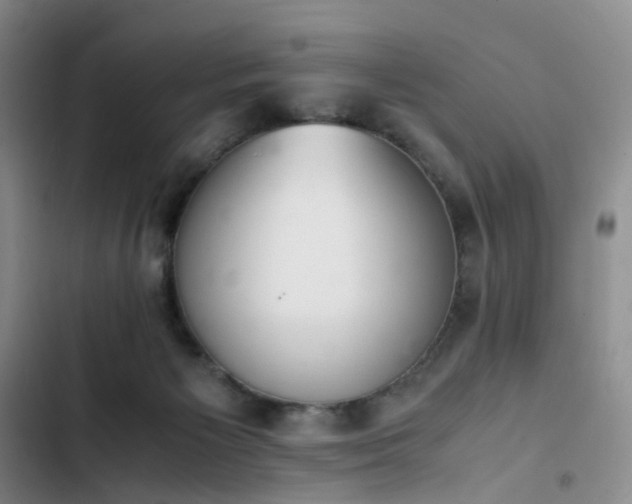 X0000102860125200808251235