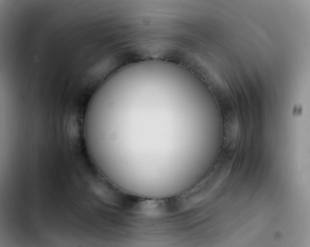 X0000102860126200808251235