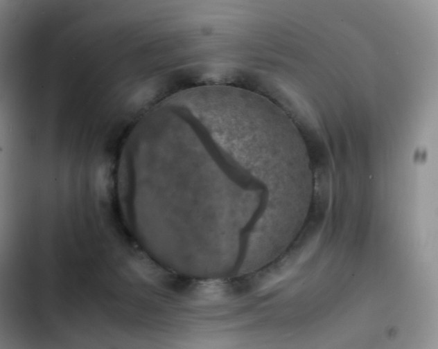 X0000102860127200808251235