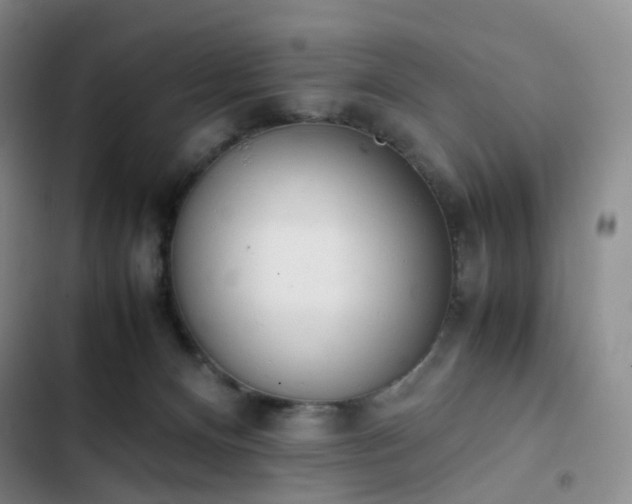 X0000102860128200808251235