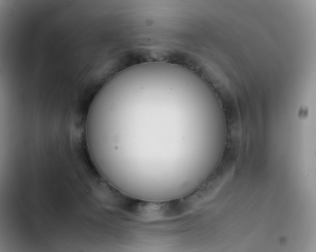 X0000102860129200808251235