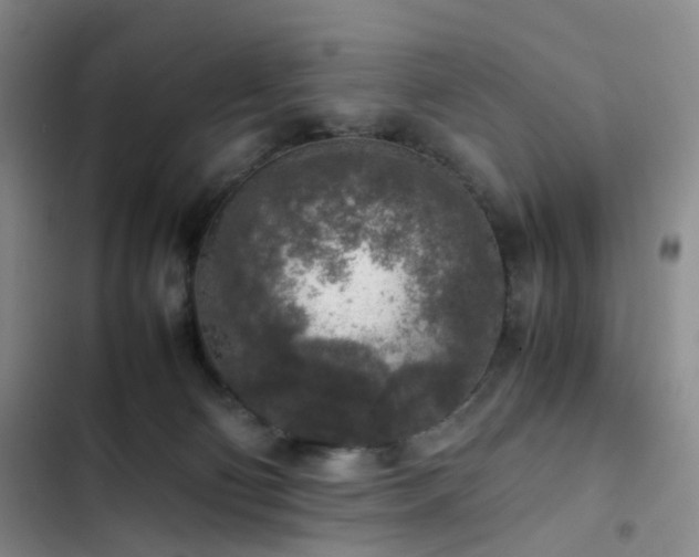 X0000102860130200808251235