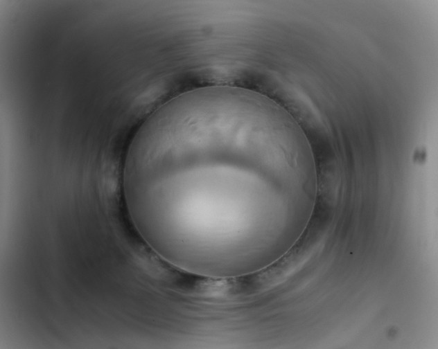 X0000102860131200808251235