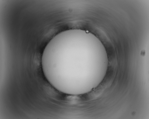 X0000102860133200808251235