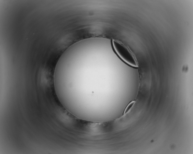 X0000102860136200808251235