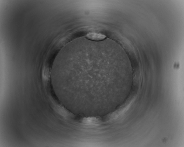 X0000102860137200808251235