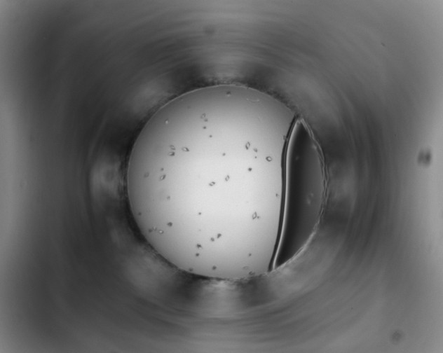 X0000102860140200808251235