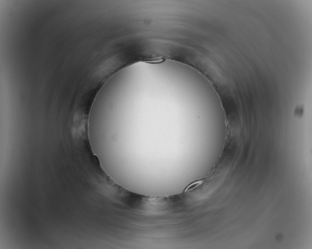 X0000102860141200808251235