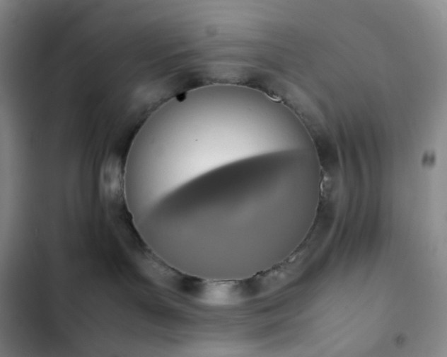 X0000102860143200808251235