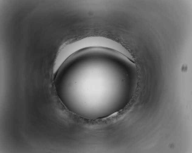 X0000102860144200808251235