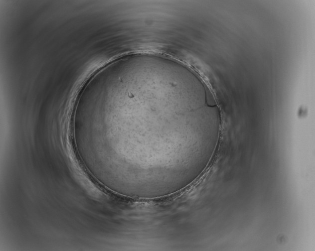 X0000102860145200808251234