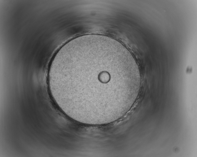 X0000102860146200808251234