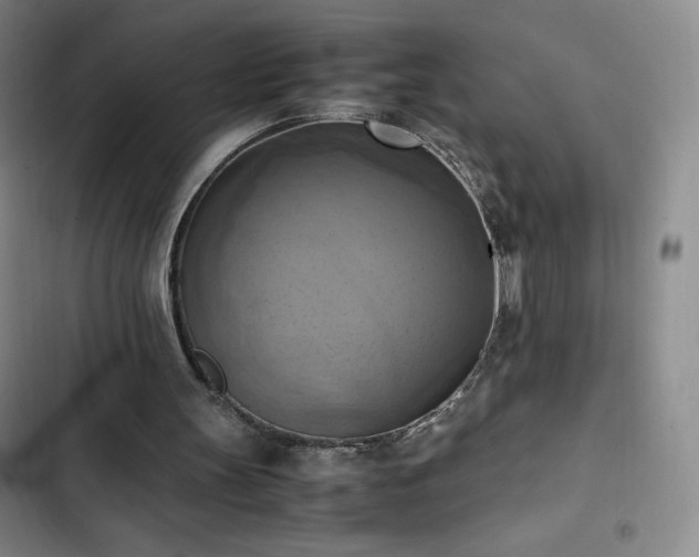 X0000102860147200808251234