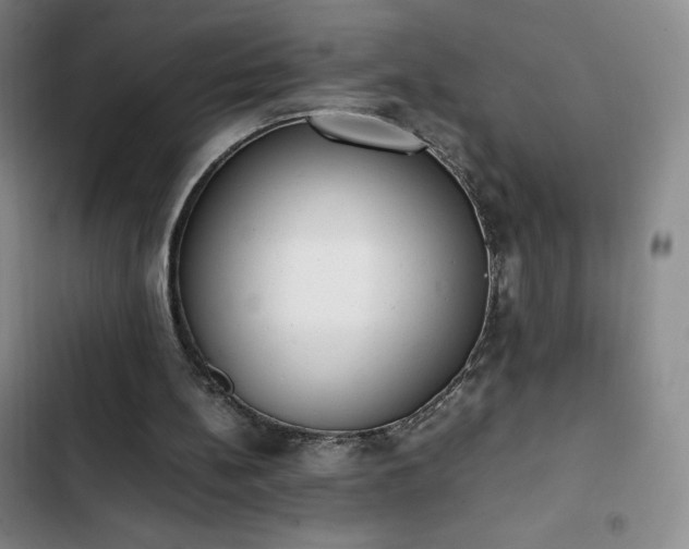 X0000102860148200808251234