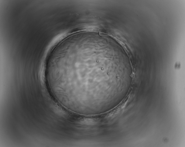 X0000102860149200808251234