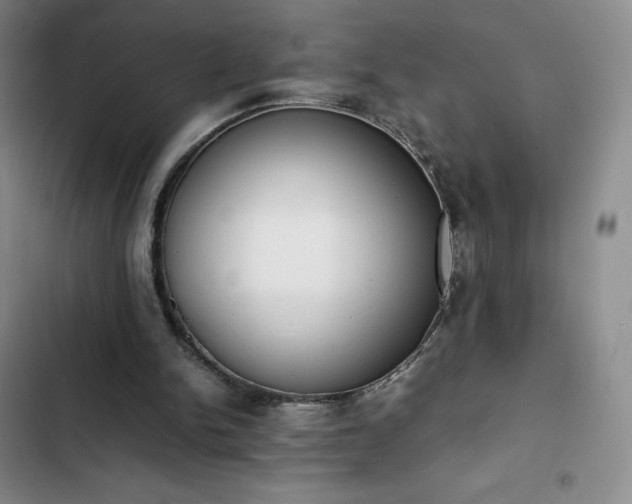 X0000102860150200808251234