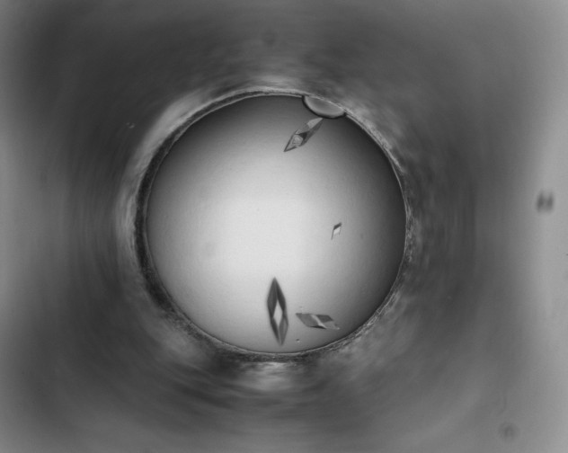 X0000102860151200808251234
