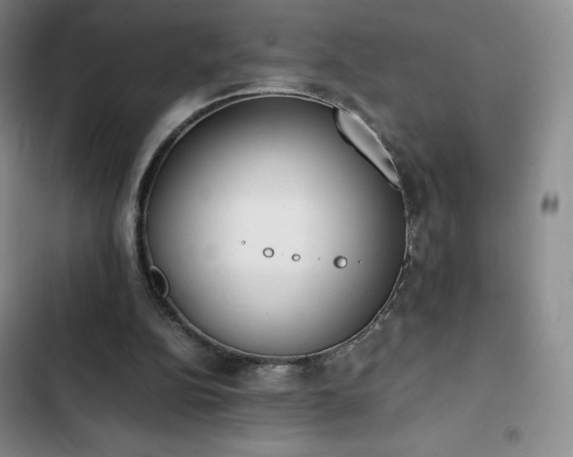 X0000102860152200808251234