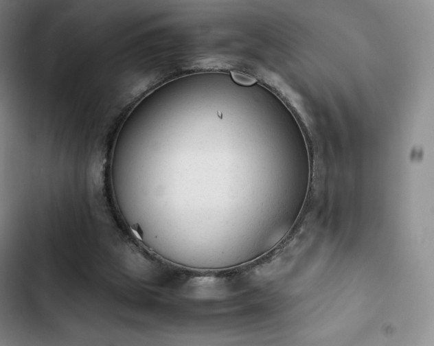 X0000102860153200808251234