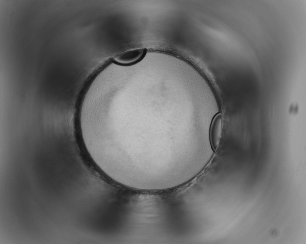 X0000102860154200808251234