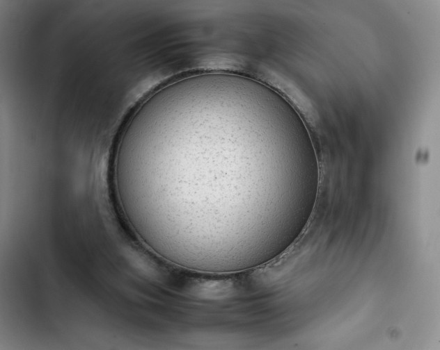 X0000102860155200808251234